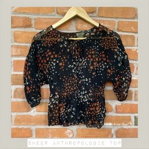 Sheer Anthropologie Top
